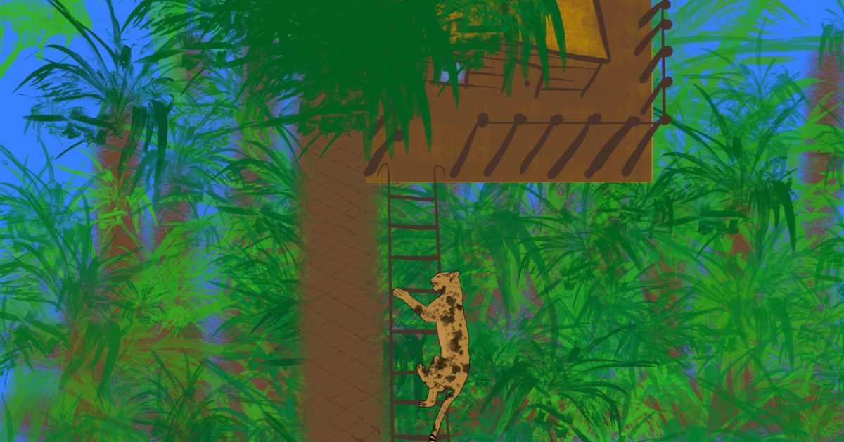 Fern’s Favorite Tree (Where She Meets Patter)