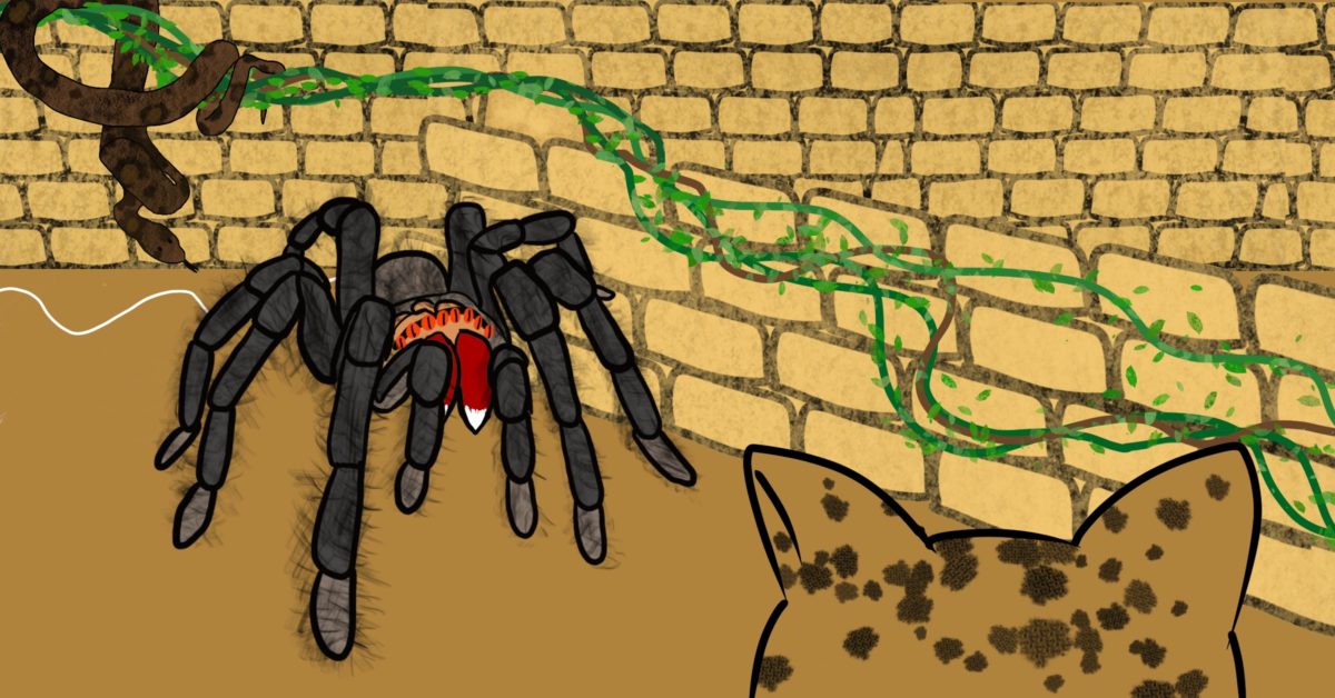 Fern and a Python in the Temple of Treasures