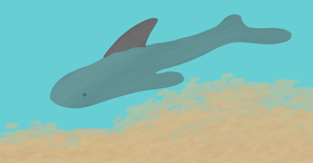 Fern Visits The Beach