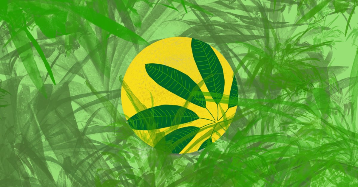 Fern’s Secret Passageway