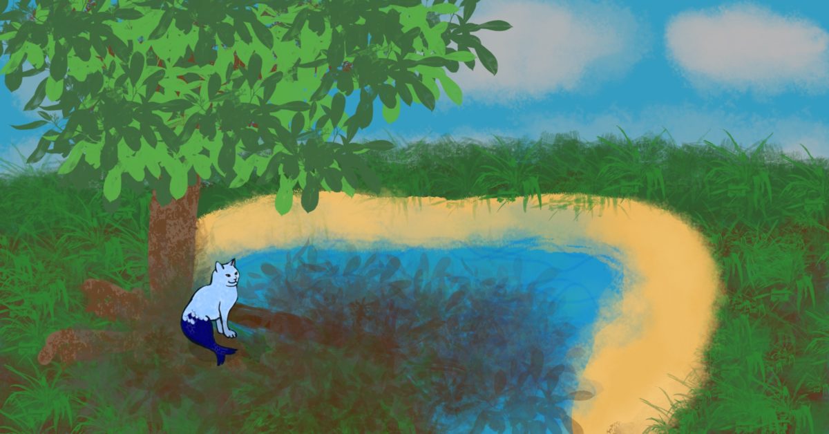 Tsunami’s New Home