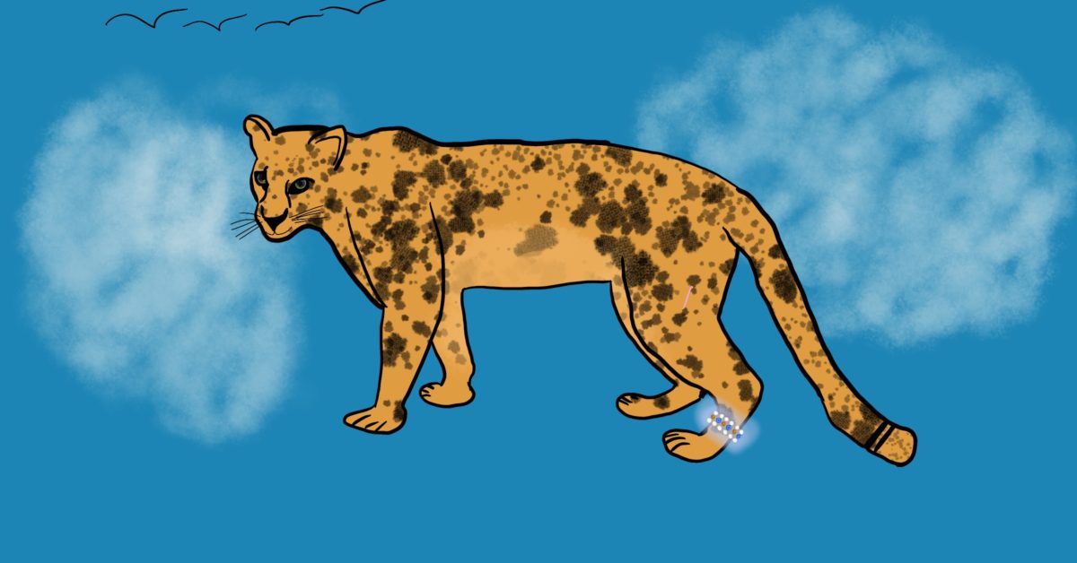 Fern’s Precious Jewels