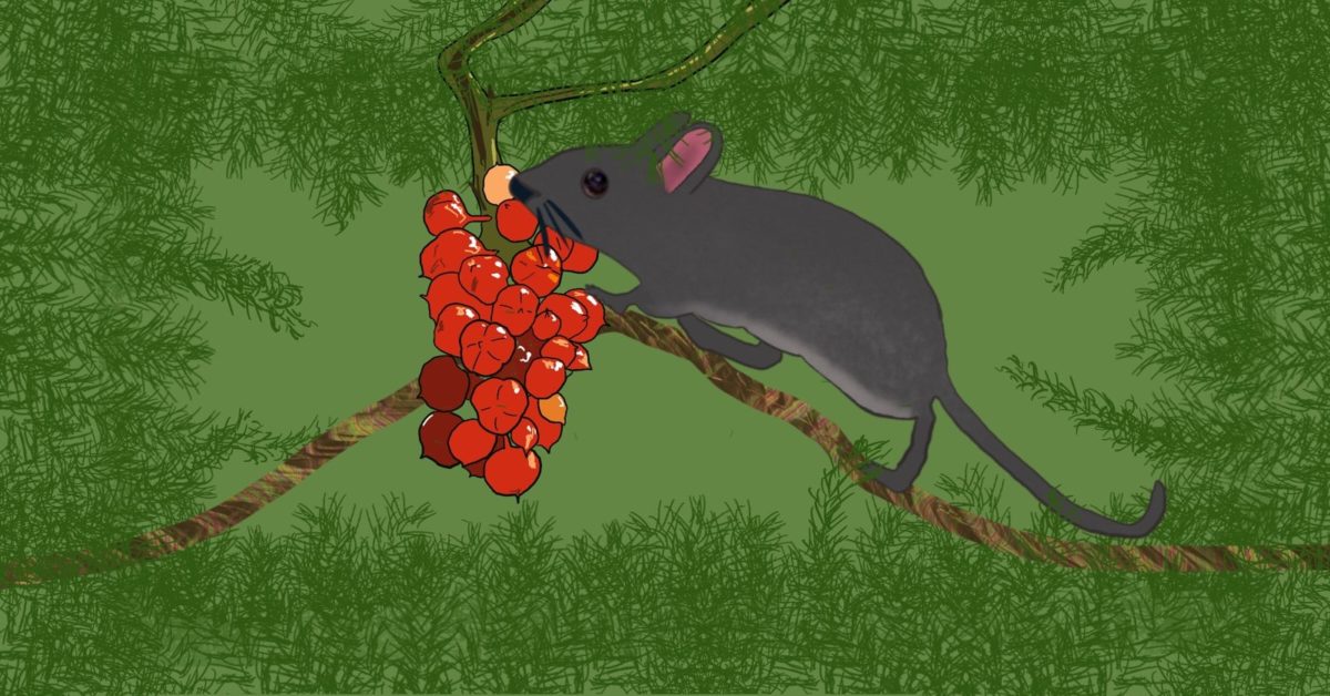 Bella Explores the Human City